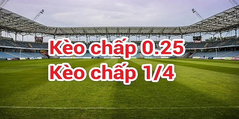 Kèo chấp 1/4 được nhiều người chơi cá cược bóng đá lựa chọn