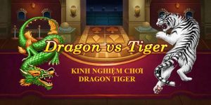 kinh nghiệm chơi dragon tiger