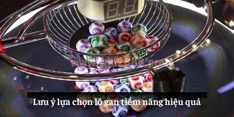 Lưu ý lựa chọn lô gan tiềm năng hiệu quả