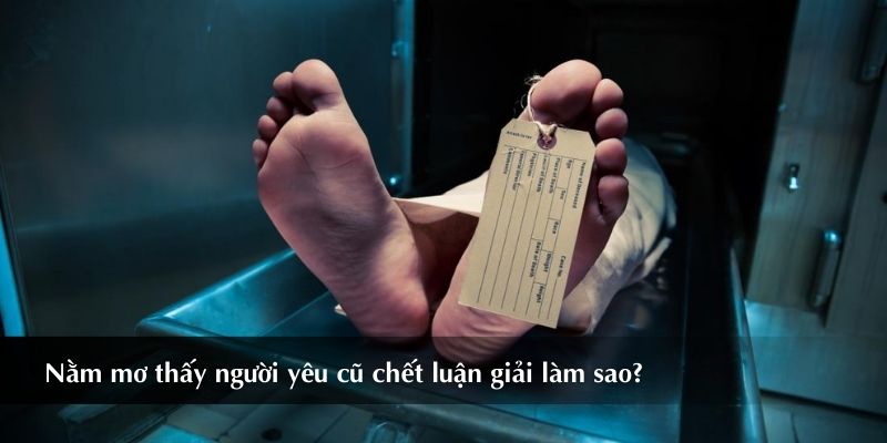 Nằm mơ thấy người yêu cũ chết trở thành hiện tượng cực phổ biến