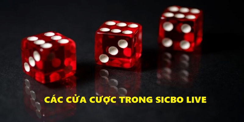 Những loại cược hấp dẫn khi chơi Sicbo 33Win