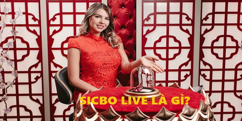 Sicbo Live 33Win là gì?